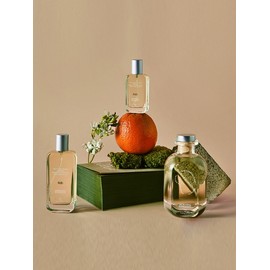 Morning Sun Light Diffuser 150ml / 모닝 선 라이트 디퓨저 150ml