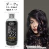 Every Color Shampoo Black, 10.1 fl oz (300 ml)