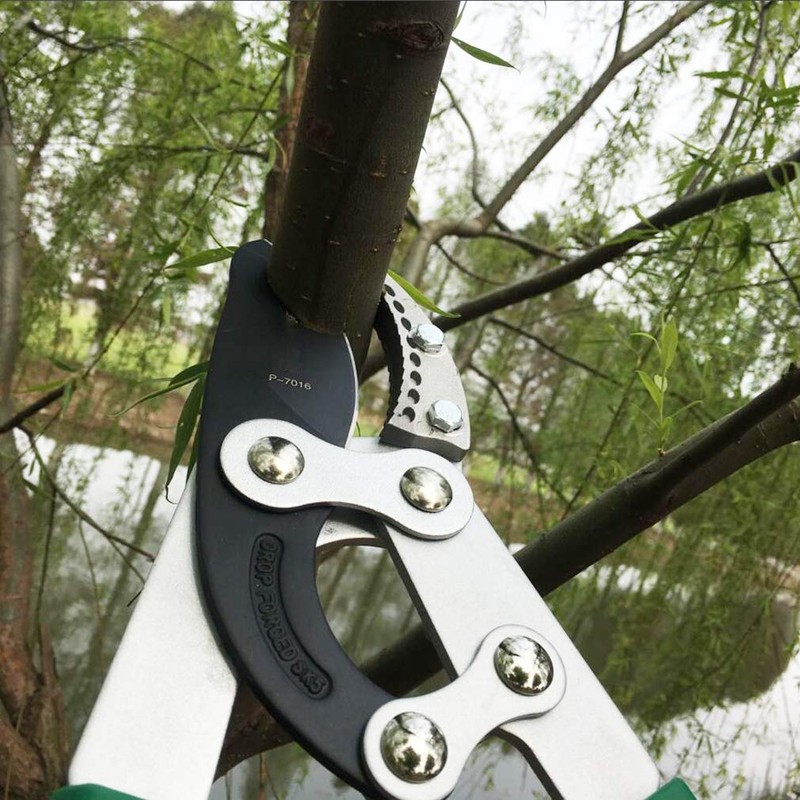SK5 High-Performance Compound Action Anvil Lopper,Chops Thick Branches with Ease,2