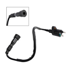 Areyourshop CDI BOX Igniter Ignition Coil for Adly ATV 320 Hurricane 2011-2014 for Adly ATV 320 Canyon 2007-2017/300 Crossroad Sentinel 30500-272-000 Model