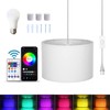 ZSLAIFU 15FT Plug in Pendant Light, Hanging lamp with Switch,White