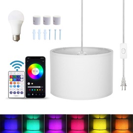 ZSLAIFU 15FT Plug in Pendant Light, Hanging lamp with Switch,White Hanging Lights with Plug in Cord, Pendant Lamp with Remote Control，Pendant Light Fixture for Living Room Bedroom Farmhouse