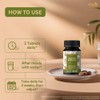 ORGANIC SPREE Kaishor Guggulu 120 Tablets - Ayurvedic Formulation -