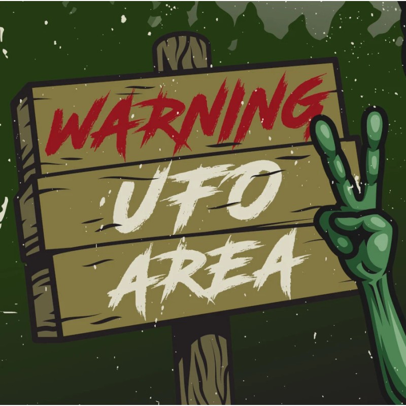 Alien Poster UFO Spaceship I Want To Believe Posters