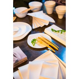 [WASARA] Length Angle Dishes, 6 Piece Waterproof and Oil-Proof 30 cm × 10 cm × 1.3 cm wasara Disposable Paper Plates