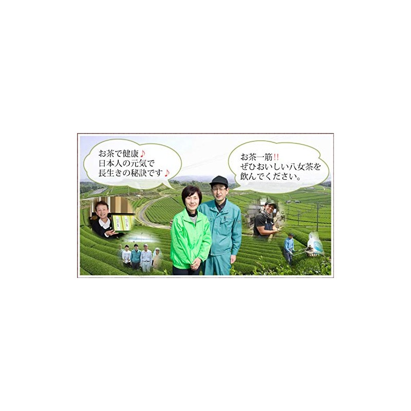 Yame Gyokuro and Chin Filled with Chishi Carefully Selected Extremity
