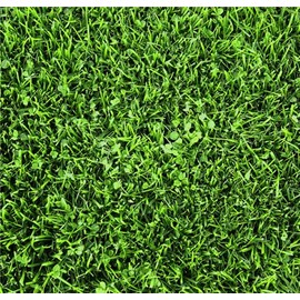 Hancock's Microlawn Seed Mix - 5 lbs.