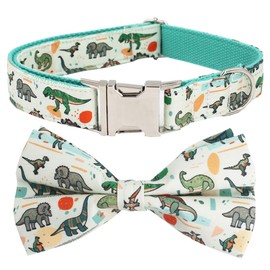 Free Sunday Dinosaur Dog Collar with Bow