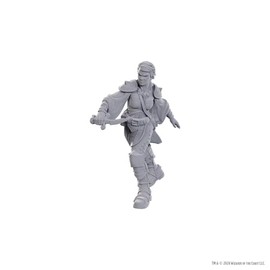 WizKids Dungeons & Dragons Nolzur's Marvelous Miniatures | Unpainted Miniatures | Wave 25 (Swashbuckler)