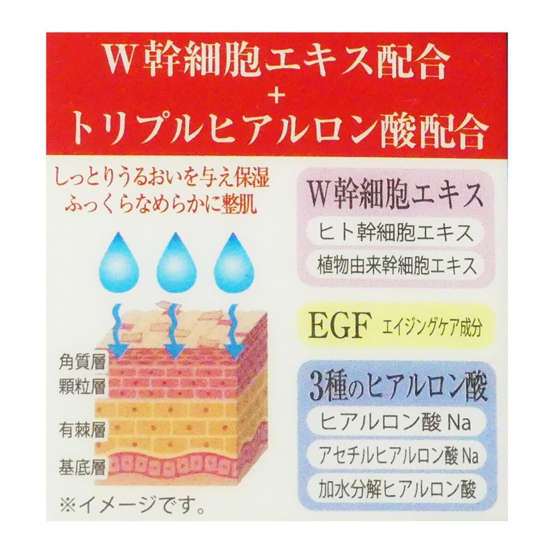 W stem(ダブルステム) REVIVAL ヒト幹細胞エキス配合 保湿クリーム 50g