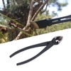 Bonsai Concave Scissors Composite Steel Oblique Ball Bonsai Pruning Cutter