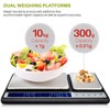 Smart Weigh Smart Weigh Dual Platform Digital Kitchen Scale Stainless