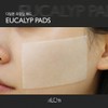 theory Elon Eucalyp Toner Pad Cotton Pads Eucalyp Pads 100