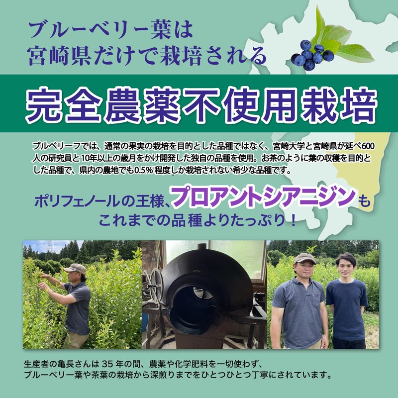 Blueberry Polyphenol Lutein Supplement (Collaborative Research with Universities and Prefectures),