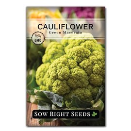 Sow Right Seeds - Green Macerata Cauliflower Seeds for Planting - Non-GMO Heirloom Packet with Instructions to Plant & Grow an Outdoor Home Vegetable Garden - Fast Growing Cold Hardy Vegetable (1)