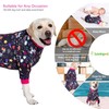 LovinPet Large Dog Pajamas Pitbull PJS: Wound Care/Post Surgery Dog