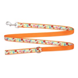The Worthy Dog Tutti Frutti Lead - Durable Spruce Up Your Pup's Walks Stylish Collar for Dogs and Cats Small Blue