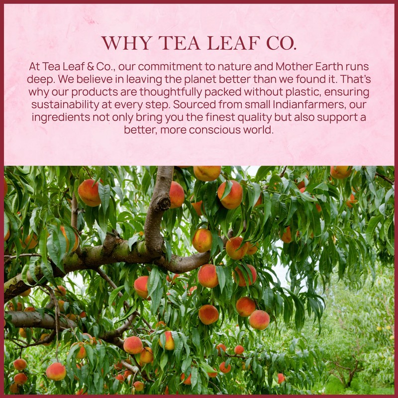 Tealeaf & Co. Peach Ginger Tea Blended with Organic Spices