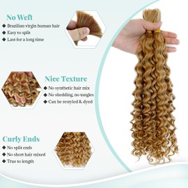 Water Wave Human Braiding Hair 2 Bundles 100g Honey Blonde Boho Curly Human Hair for Braiding 22 Inch Colored Bulk Human Hair for Boho Braids Remy Human Hair Extension Wet and Wavy Human Braiding Hair