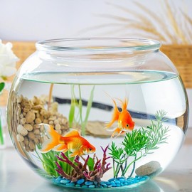 2 Pack Plastic Fish Bowls, 135oz Round Plastic Fish Tank 1 Gallon Aquarium Hydroponic Planter Floral Container for Candy, Carnival Games, Prizes, Party and Table Centerpiece Home Decor