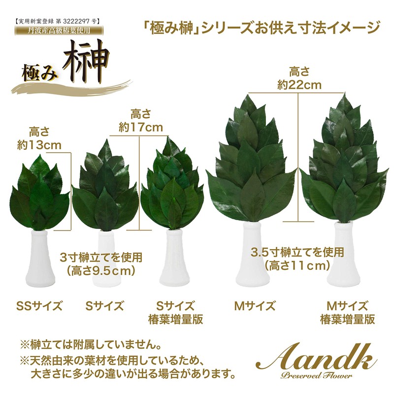 Sakaki, Extra Large MV, Camellia Leaves Extra Thick, Medium Size,