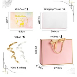 New Pink Gift Bag for Present, 3pcs Pink Present Bags with 6 Tissue Papers and 3 Cards, Pink Party Bags for Bridesmaid Birthday Wedding Thanksgiving Valentine's Day Anniversary 27x10x21cm
