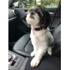 Car Console Covers Plus Handmade in USA Designed for Volvo