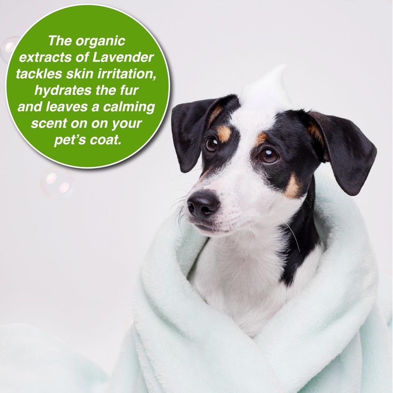 Pro-Coat Grooming Quick Wick Drying Spray (Lavender) 16 oz.