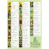 Tarot Card Hayami ajiki TAROT KEYWORDS MAT | NORI STAR