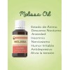 L`eudine Leudine Melissa Oil Elimina La Ansiedad 1 Fl Oz