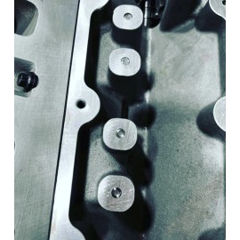 Dod LS Gen 4 DOD plugs 5.3/6.0/6.2 2008-2017