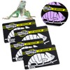 DQITJ 4 Pcs Quick Test UVB Sensor, Reptile UV Tester