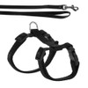 Flamingo ASP Black Kitten Harness + Dog Lead 120 cm/10