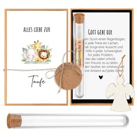 Hestya Money Gifts for Christening Gifts for Girls Boys Godchild Money Christening Gifts Money Gifts Packaging with Test Tube Wooden Angel Christening Card for Birth Voucher Seeds (Animal)