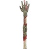 Horror Walking Undead Zombie Hand Back Scratcher