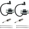 2 Pack of 24-584-36-S Ignition Coil Moudle for Kohler CH20