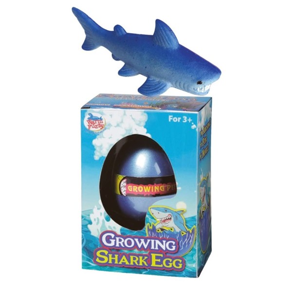 WARM FUZZY Toys Shark Eggs (1) - 2.5inch Hatching Water Growing Shark Eggs - Toy Surprise Eggs - Hatchimal Eggs - Shark Eggs That Hatch in Water for Kids Party Favor Toy, Bath Toy, Easter Egg