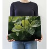 The Plum Penguin Abstract Lemon Balm Leaves Wall Art, 2-Piece