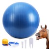 Herding Ball for Horse, 40" Anti-Burst Giant Soccer Ball Toy