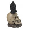 Edgar Corvus Raven Perching On Rose Skull Statue With Solar