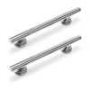 Stainless Straight Grab Rail 48cm - Pack of 2 -