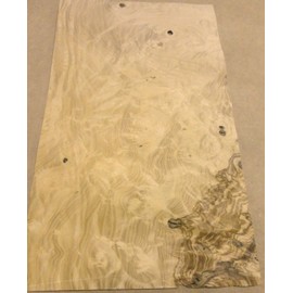 Olive Ash Burl Wood Veneer 7" x 12" raw with no Backing 1/42" Thickness AA Grade