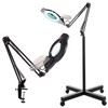 Magniyfing Floor Lamp with 4 Wheel Rolling Base for Estheticians-