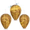 ARCHETYPE BRANDS Wasp Nest Decoy - Natural Wasp Repellent -