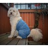 Mozzie Pants Original Dog Pants, E-Collar Alternative, Dog Pajamas, Dog