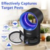 Fruit Fly Traps for Indoors, Fly Trap Indoor, Indoor Bug