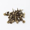 AUXBC 100 PCS Mini Upholstery Nails, 1/2" Decorative Furniture Tacks,