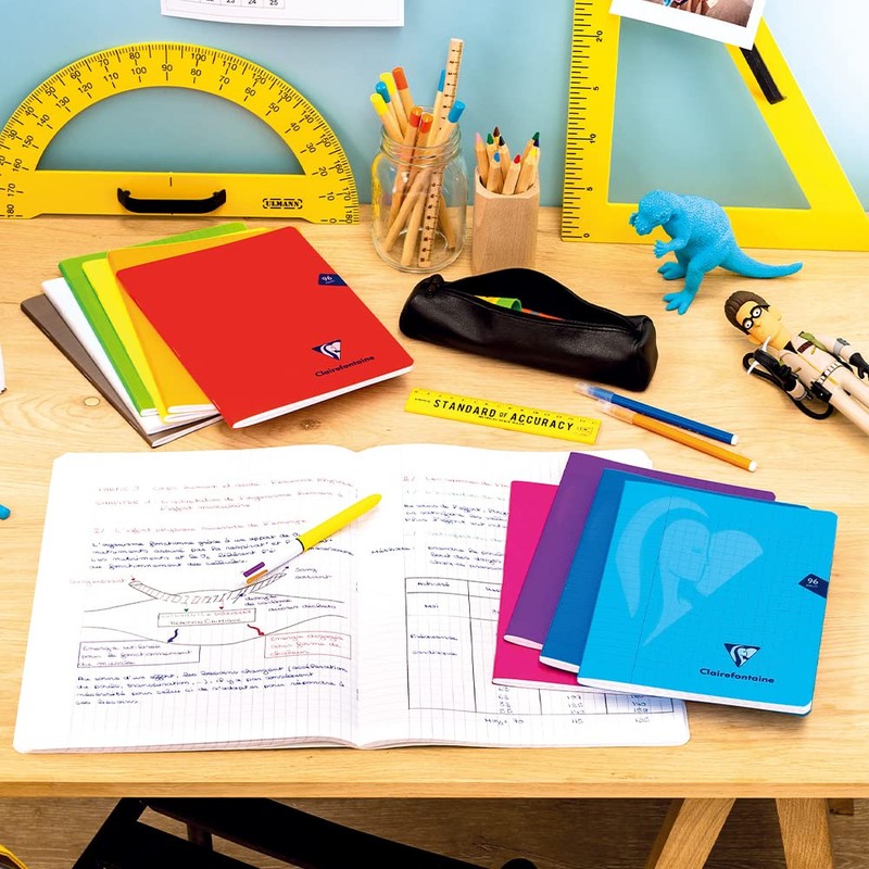 Clairefontaine Cf363161 French Ruled Mimedis Stapled Notebook, A4, 96 Pages,