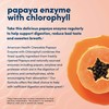 American Health Chewable Papaya Enzyme with Chlorophyll 600 Chwbls