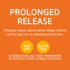 21st Century 21st Century C 1000 mg Prolonged Release Tablets
